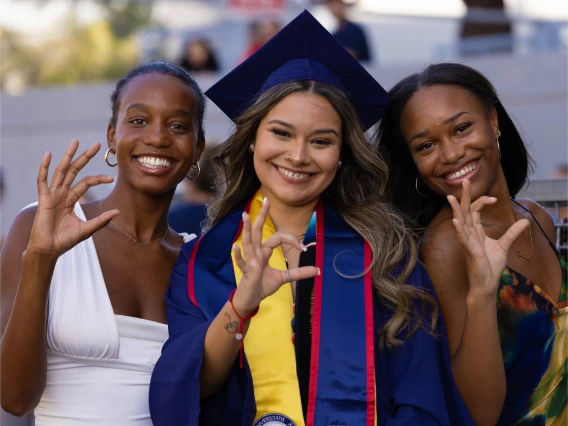 Grads Wildcat Sign