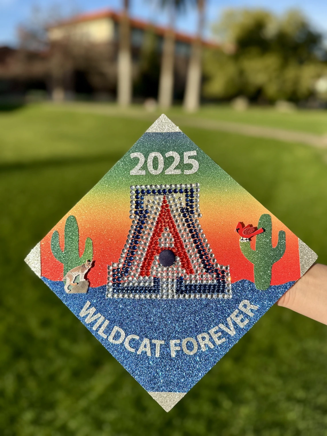 Cap Decorating Contest